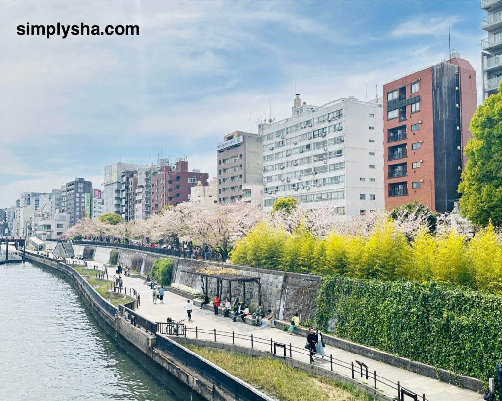 People strolling along the Sumida River promenade with cherry blossoms in bloom in Asakusa