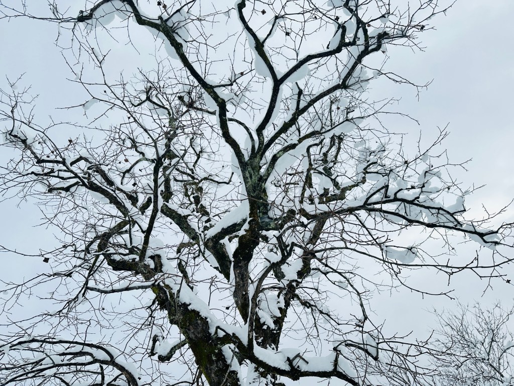 Letting Go and Moving on Quotes for Healing & Growth