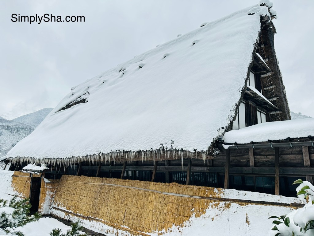 close-up of traditional gassho-zukuri house with thick snow-covered roof in Shirakawa-go