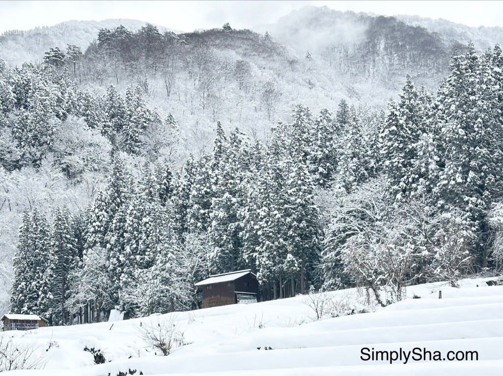 snow-covered fields and traditional houses in Shirakawa-go with mountains in the background
