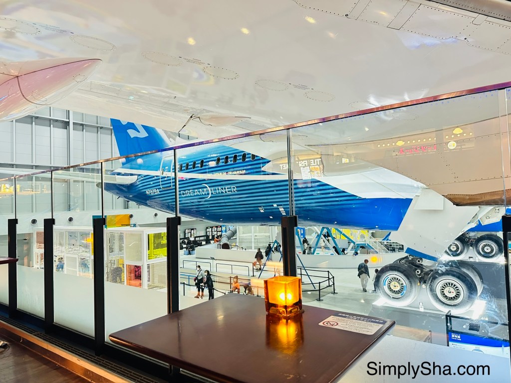 View of the Boeing 787 from Seattle Terrace at Flight of Dreams in Nagoya
